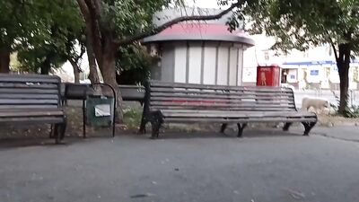 The guy masturbates in public. Extreme