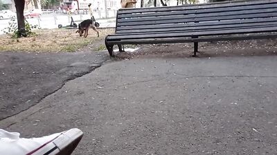 The guy masturbates in public. Extreme