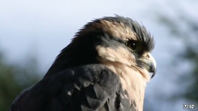 Wild Nature Men: Stranded Partie 3 – Damien Stone & Jack Hunters Gay Porn Adventure