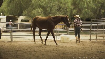 Cowboy Love Ranch: Male Couple Romance in Costumes