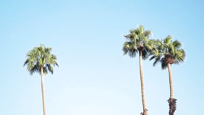 Round and Tight: Colton Reece & Zario Travezzs Gay Porn Adventure