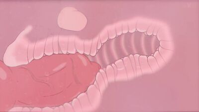 FLOOR 19 ????SMUT CUT???? Furry Gay Animation