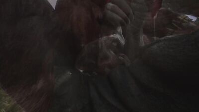 Minotaur Cums A LOT From Being Fucked by Rhino (Gulhragg) | Wild Life Furry