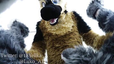 Hot German shepherd fucks cute gray submissive bunny (Murrsuit porn)