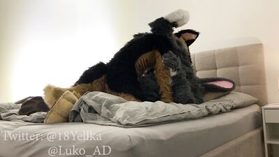 Hot German shepherd fucks cute gray submissive bunny (Murrsuit porn)