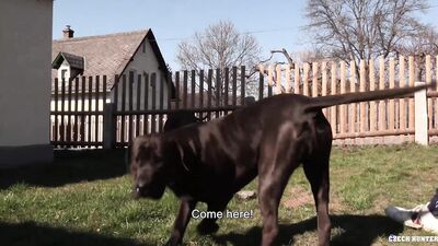 CZECHHUNTER 535 - Cute Slim Czech Twink Suck And Rides Raw Cock On POV Camera