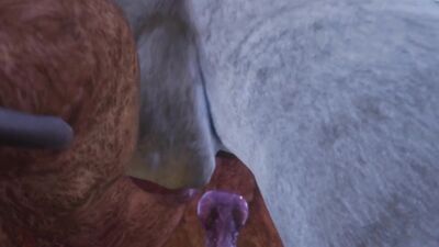 Two Gay Male Lions Creaming Each Other (POV & Paw Shots) | Wild Life Furries