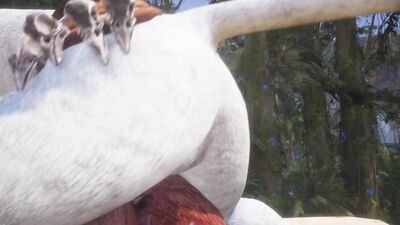 Two Gay Male Lions Creaming Each Other (POV & Paw Shots) | Wild Life Furries