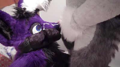 Fenny painting lucer