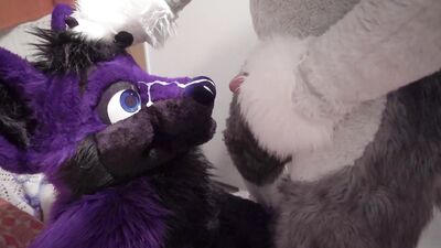 Fenny painting lucer