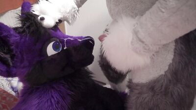 Fenny painting lucer