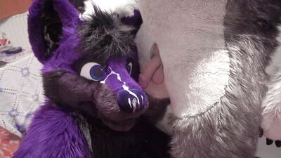 Fenny painting lucer