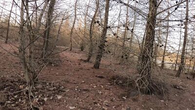 Cumshot in a condom and empty it over my dick | POV | Johann Wood