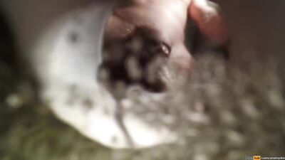 Gay boy pee horny view