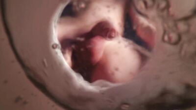 Gay boy pee horny view