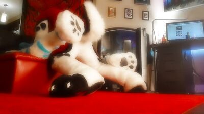 Chastity Slut gets railed in Fursuit