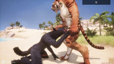Wild Life / Gay Furry Porn Black Wolf with Tiger