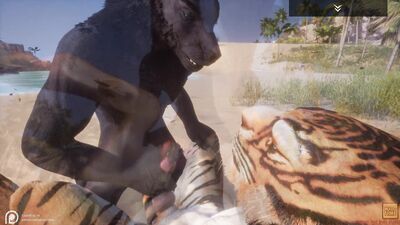 Wild Life / Gay Furry Porn Black Wolf with Tiger