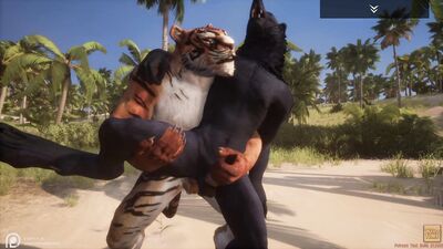 Wild Life / Gay Furry Porn Black Wolf with Tiger