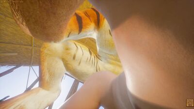 Tiger Furry Knotting Gay Teen Guy POV