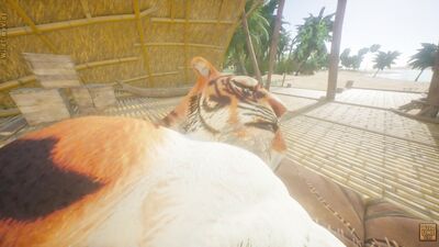 Tiger Furry Knotting Gay Teen Guy POV