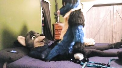 Sucario Rides Paradox and takes his seed Breeding