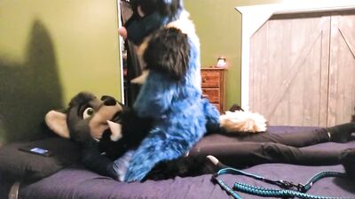 Sucario Rides Paradox and takes his seed Breeding