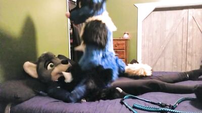 Sucario Rides Paradox and takes his seed Breeding