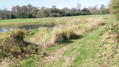 we were so horny we decided to pull off the road, check us out on