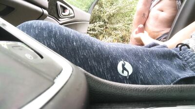 Coach vehicle suck & fuck in the park.