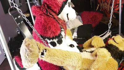 LiondogAri Gangbang Pt 1