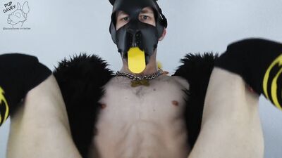 puppy gets fucked by fursuit with dildo