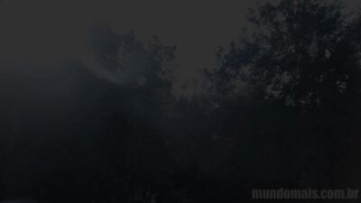 Heatwave on the Farm: Brazilian Macho Stallion Bronze