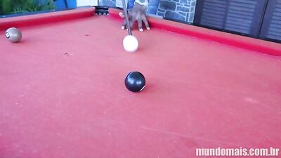 Stroke of Luck - A Trio of Latino Smoothies Discover Pleasure at the Billiard Table