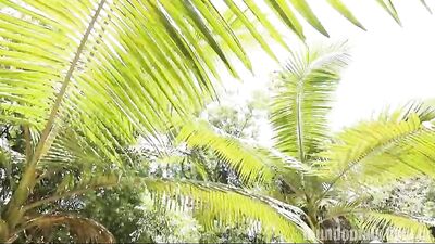 Gay Porn Cruising Adventure in Brazil: Hot Bareback Action with Huge Cocks!