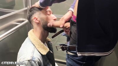 Ascension of Lust: The Gavage Challenge