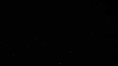 Take Off: André Donovan and Luca del Reys Risky Security Check