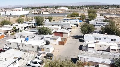 Cousin Connection - Brian Bonds and Masyn Thornes Hairy Adventure