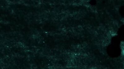 Foot Worship with Sergeant Miles, Rico Marlon and Kosta Viking - Cuckolded for Your Pleasure