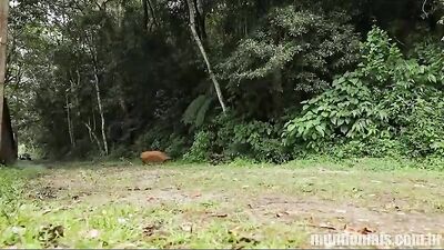 Magno et les mécanos – Felipe XXL, Magno Carioca & Wallace Andrade