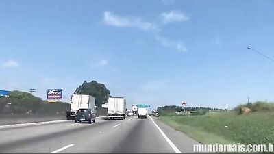 Riding High on the Road: The Adventurous Life of a Bearded Truck Driver