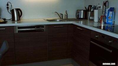 Gay Porn Couple Shares Apartment with Hetero Men - Ultimate Fantasy Realized