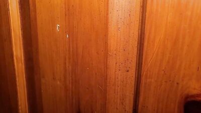 Deflowering the Handsome Tommy Tanner in Montreal: An Alluring Striptease, Firm Masturbation and Rough Anal Sex with a Canadian Hetero Punk