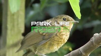 Gay Skateboarders in the Park - Sucking and Fucking with Aitor Crash & Toby Park