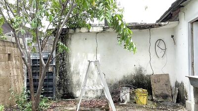 Jungle Fruit Hunt: Young Gardeners Hardcore Adventure