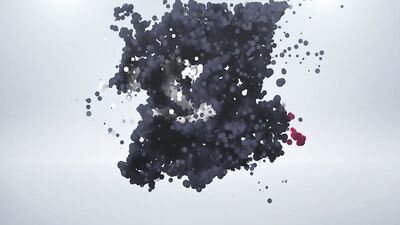 Minets passionnés – Erik Climber, Timmy Williams