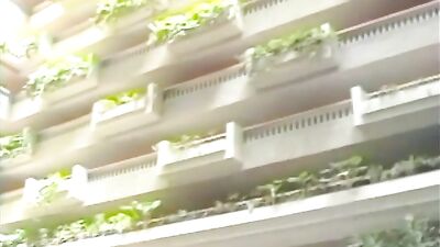 Summer Heat: Vintage Gay Porn Adventure