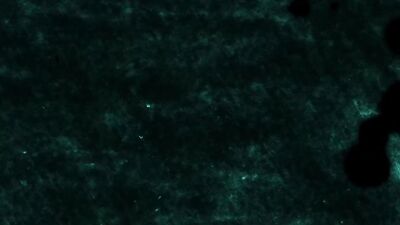 Double Penetration Gay - Sir Peter, Harold Lopez, and Bruno Galvez