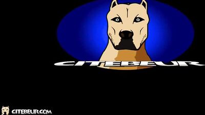 Beastly Beaus and their Bareback Bangs: French Daddy Takes Charge of Sucking Submissive Moroccan Cock-Sucker