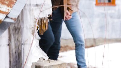 Sweet Licking - A Taste of Maple Syrup